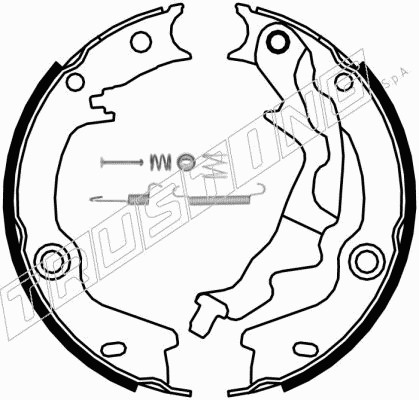 Комплект тормозных колодок стояночная тормозной системы TRUSTING 046.223K