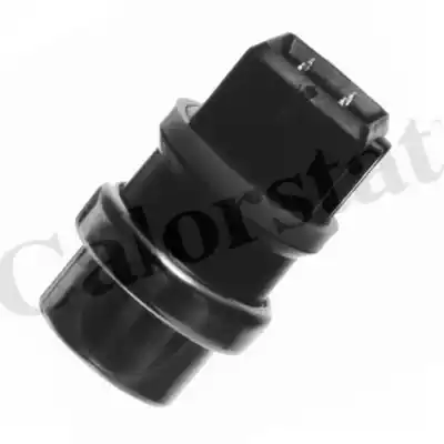 Датчик температуры VERNET WS2579