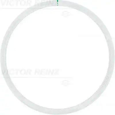 Прокладка гбц VICTOR REINZ 61-25315-10